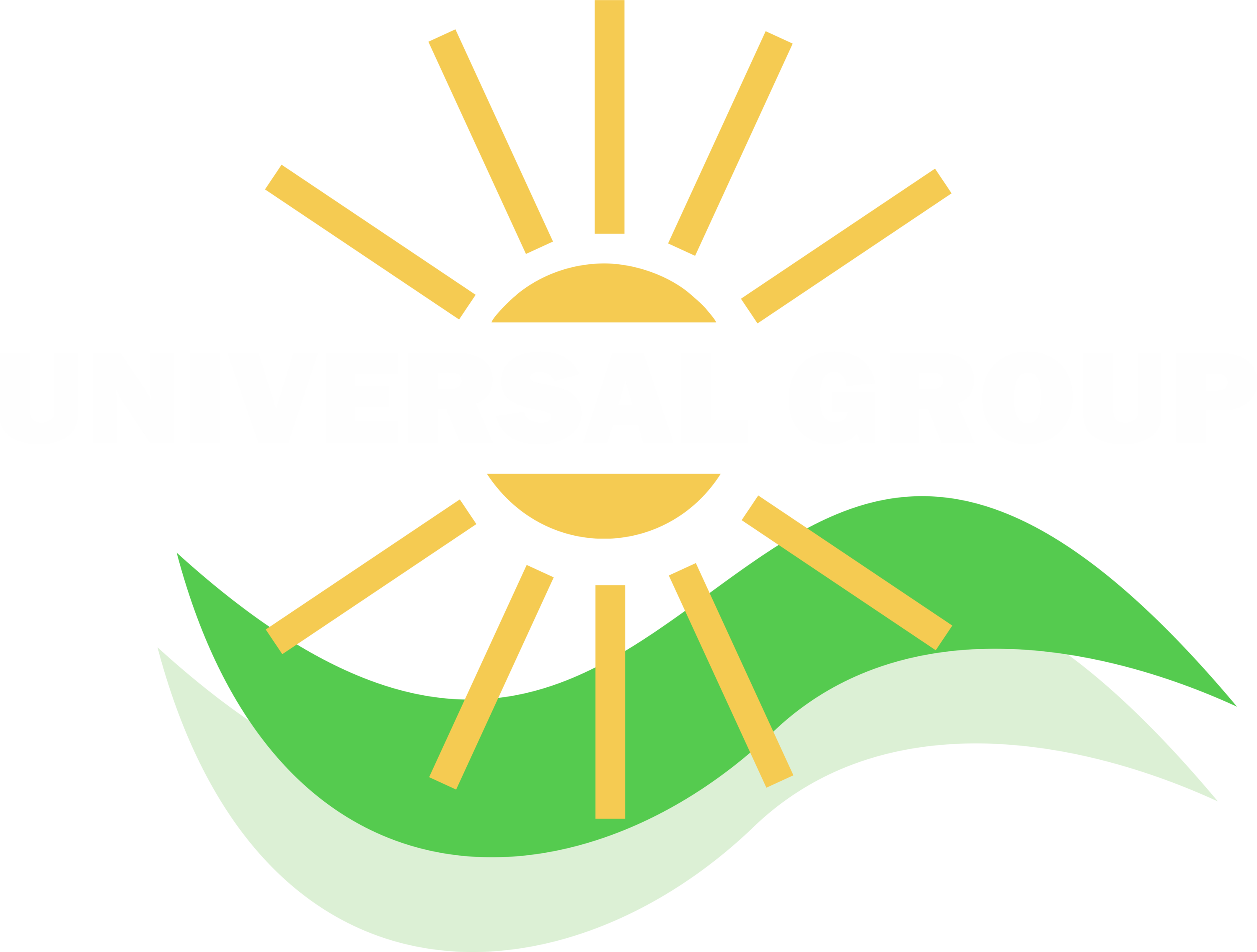 UNIVERSAL SOLAR GROUP